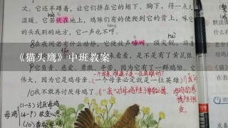 《猫头鹰》中班教案