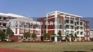 求小学语文《翠鸟》的教案。