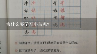 为什么要学习小鸟呢？