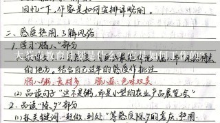 大茶壶教育计划是什么？它是如何工作的？