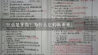 什么是牙齿？为什么它们很重要？