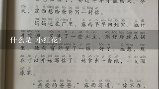 什么是