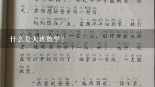 什么是大班数学？