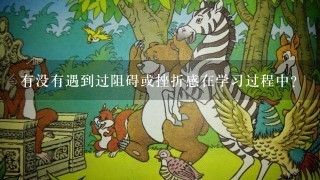 有没有遇到过阻碍或挫折感在学习过程中？