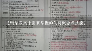 是鸭梨教案中需要掌握的关键概念或技能