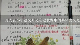 月光在小学语文月光启蒙教案中的具体含义是什么