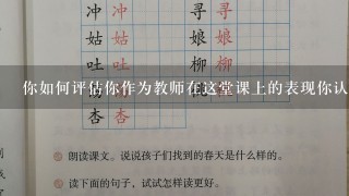 你如何评估你作为教师在这堂课上的表现你认为你的优势和不足之处是什么