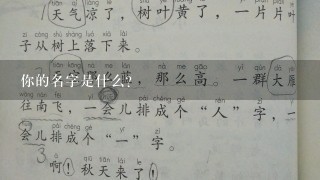 你的名字是什么