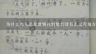 为什么鸟儿总是能够找到他们没有去过的地方