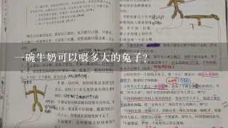 一碗牛奶可以喂多大的兔子