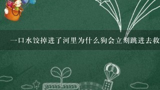 一口水饺掉进了河里为什么狗会立刻跳进去救人呢