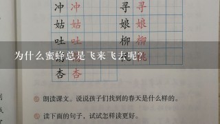 为什么蜜蜂总是飞来飞去呢