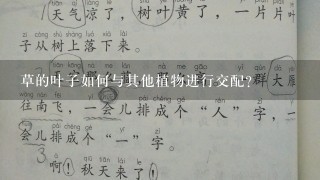 草的叶子如何与其他植物进行交配?