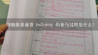 细胞能量通货 pathway 的参与过程是什么?