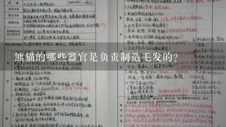 熊猫的哪些器官是负责制造毛发的?