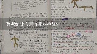 数据统计应用有哪些挑战?