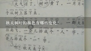 秋天枫叶的颜色有哪些变化?