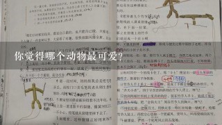 你觉得哪个动物最可爱?