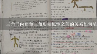 三角形内角和三角形相似性之间的关系如何随着角度的增加?